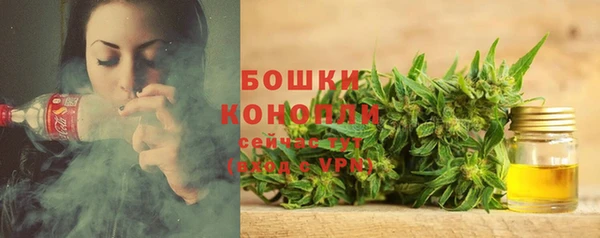 COCAINE Богородицк