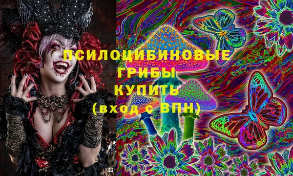 COCAINE Богородицк