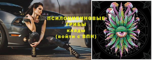 амфетамин Богданович
