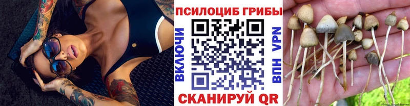 ОМГ ОМГ вход  Барнаул  Псилоцибиновые грибы Psilocybe 